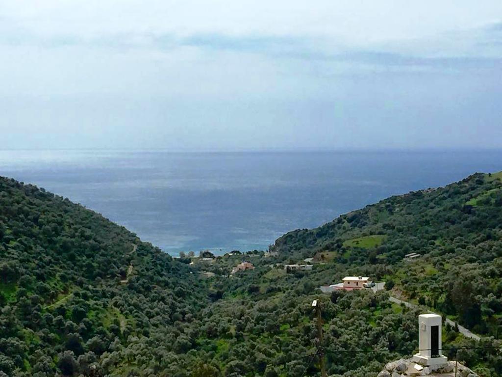 Saint George Hotel Ροδάκινο Εξωτερικό φωτογραφία