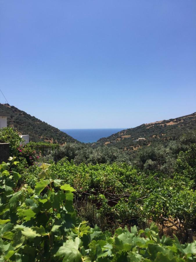 Saint George Hotel Ροδάκινο Εξωτερικό φωτογραφία